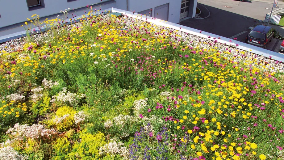 Das BMI - Gründachpaket mit Pflanzenbegrünung