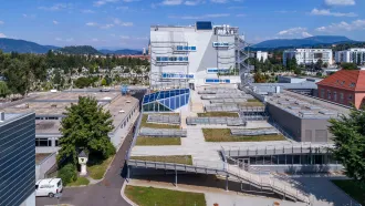 Blick auf das 10.000Quadratmeter große Gründach der Post am Rochus mit Unterlagsbahnen und Abdichtungen sowie einer Elastovill-Dampfsperrbahn mit Glasvlieseinlage und Aluminium-Kombiträger von BMI Villas.